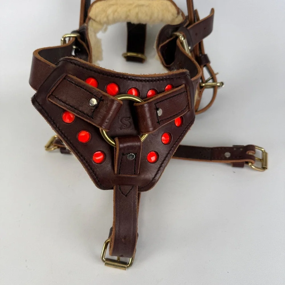 Leather Service Dog Hard Handle Mobility Harness SHERPA Brass DRing